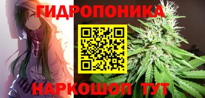 соль ск Камышлов