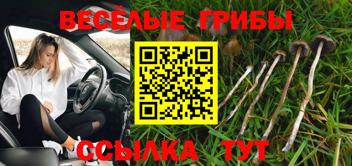 Кропоткин  Псилоцибиновые грибы мухоморы  Вход с VPN  Галлюциногенные грибы мицелий 